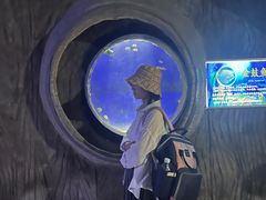 -合肥海洋世界