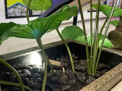 -新辣道鱼火锅(航天万源店)