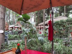 -二荆条·蜀鲜汇城市森林火锅