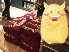 -九又四分之三站台哈利波特商店