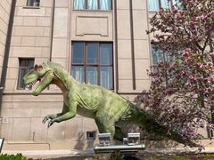 -国家自然博物馆