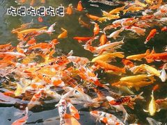 -番禺宾馆丽苑厅