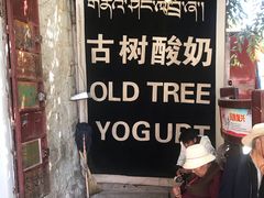 -古树酸奶(八廓南街店)
