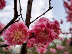 -唐城墙遗址公园