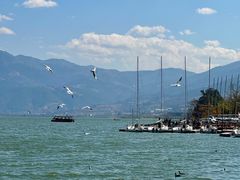 -西昌邛海湿地