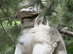 -潭柘寺景区