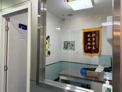 -特一安24小时宠物医院·骨科·中兽医