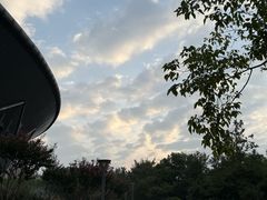 -杭州城北体育公园