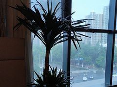 -鸽子侯·家宴·平价海鲜(绿地店)