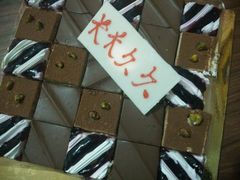 -维尔纳斯·生日蛋糕动物奶油冰淇淋蛋糕(人大店)