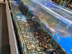 -四海蒸鲜蒸汽海鲜自助(北戴河店)