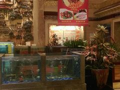 -顺峰(南二环店)