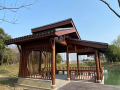 -梁鸿国家湿地公园