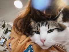 -小时光咖啡馆(北锣鼓巷店)