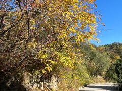 -北京西山国家森林公园