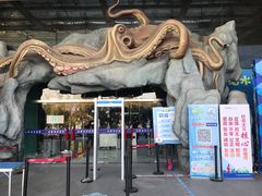 -合肥海洋世界