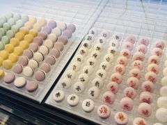 -BLACKSWAN黑天鹅(环球店)