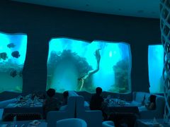 -瑞德姆美人鱼海底演艺主题餐厅(亚龙湾店)