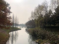 -尚贤河湿地