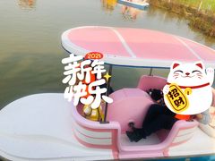 -空港花田景区
