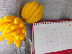 -云客来·花园餐厅(洛社店)