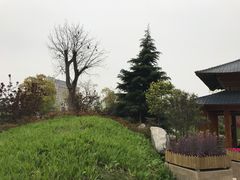 -美盛喜来登大酒店-盛宴标帜餐厅
