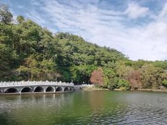 -深圳仙湖植物园