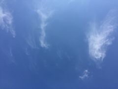 -望江楼公园