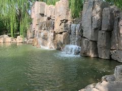 -阿尔丁植物园