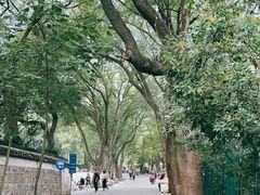 -上海佘山国家森林公园天马山园