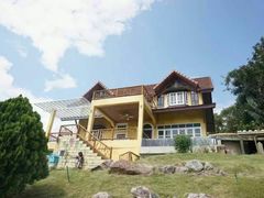 -黄色小屋