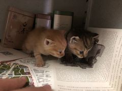 -上海市龙华烈士陵园