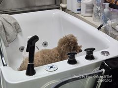 -北京观赏动物医院·24小时大型综合·猫专科·异宠专科