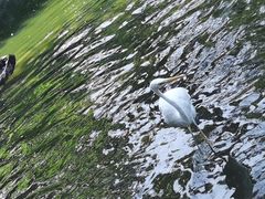 -海南热带野生动植物园