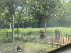 -秦皇岛野生动物园