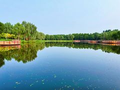 -东郊湿地公园