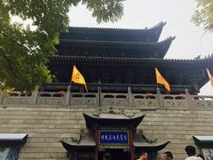 -大槐树寻根祭祖园