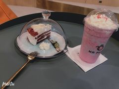 -飞行喵MR PILOT|猫舍·猫咖(静安大融城店)