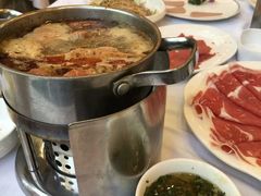 -友谊肥牛