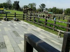 -田园东方蜜桃村的田野营地