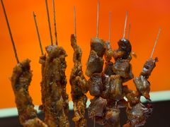 -丁虎子烤肉(国道二店)