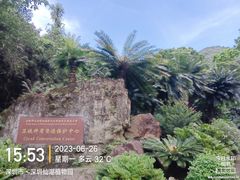 -深圳仙湖植物园