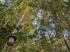 -敬亭山风景名胜区