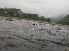 -九曲溪竹筏码头