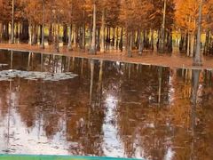 -白鹭湾湿地公园