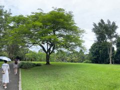 -中国科学院西双版纳热带植物园