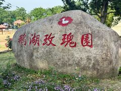 -鹅湖玫瑰文化园