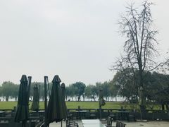 -闻莺馆(柳浪闻莺店)