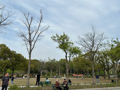 -新江湾城公园