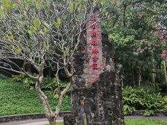 -王借岗森林公园